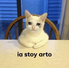 a white cat is sitting at a table with its legs crossed and a caption that says `` ia stoy arto '' .