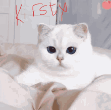 a white cat with blue eyes and the name kirsty written in red letters