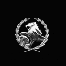 a silver lion with a laurel wreath around it on a black background