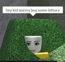 a mask is sitting on top of a cube of grass with the words `` hey kid wanna buy some lettuce '' written on it .