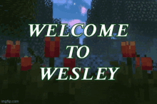 a sign that says welcome to wesley in front of flowers