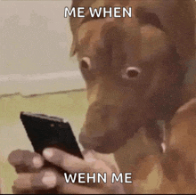 a dog is looking at a cell phone with the words me when wehn me below it