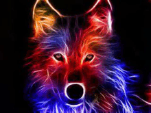 a colorful wolf with a circle in its mouth