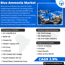 blue ammonia market size share & trends analysis report market by technology steam methane reforming autothermal reforming and gas partial oxidation )