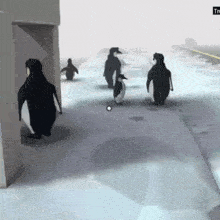 a group of penguins are walking down a snowy sidewalk in a video game .