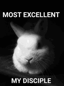 a black and white photo of a rabbit with the words most excellent my disciple above it