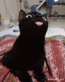 a black cat is sticking its tongue out while looking up