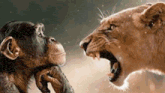 a lion and a chimpanzee are looking at each other with the lion yawning