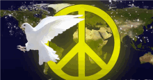 a white dove flies in front of a peace sign