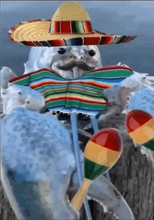 a skeleton wearing a sombrero and a colorful blanket