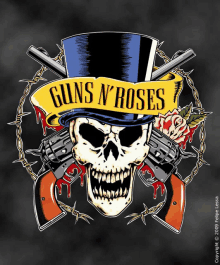 a logo for guns n roses with a skull wearing a top hat