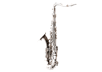 a saxophone is shown on a white background