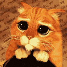 a cat with a sad look on its face is holding a black object