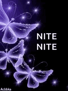 a purple butterfly with the words nite nite on it