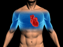 a computer generated image of a man 's heart