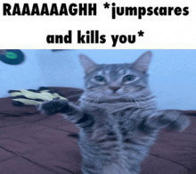 a cat standing on its hind legs with a caption that says raaaaaghh jumpscare and kills you