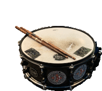 an apex snare drum with a pair of drumsticks on top of it