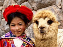 a young girl in a red hat is standing next to a llama .