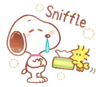 a cartoon of snoopy sneezing next to woodstock holding a box of tissues