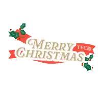 a sign that says merry christmas with holly on it