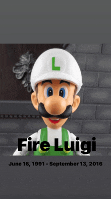 a picture of a mario figure with the words fire luigi on it