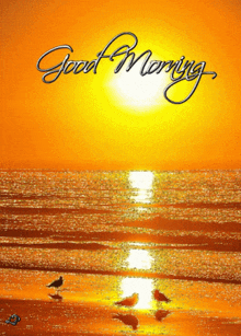 a picture of a sunset with the words good morning on it