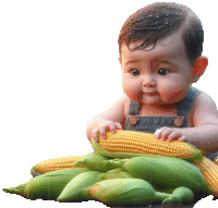 a baby is holding a corn on the cob in his hands