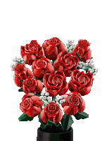 a bunch of red roses in a black vase on a white background