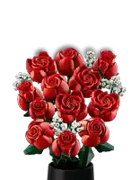 a bunch of red roses in a black vase on a white background