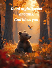 a picture of a bear with the words good night sweet dreams god bless you on the bottom