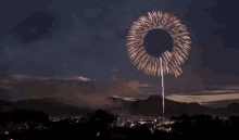 a fireworks display with a circle in the middle of it