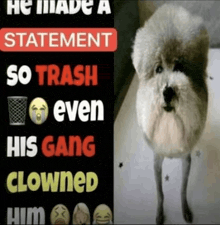 a dog is standing next to a sign that says he made a statement so trash even his gang clowned him