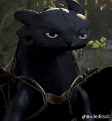 toothless from how to train your dragon is wearing a leather harness