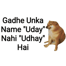 a picture of a dog with the words " gadhe unka name " uday "