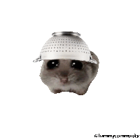 a hamster wearing a strainer on its head with a hammy community logo below it