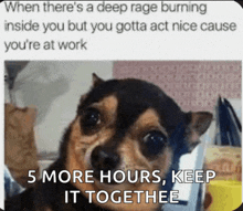 a picture of a dog with a caption that says " when there 's a deep rage burning inside you "