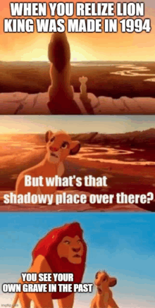 a meme of the lion king says that shadowy place over there is your own grave