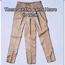 a pair of khaki pants with a caption that says these are the pants i have to wear