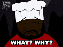 a cartoon character with a chef 's hat says " what why "