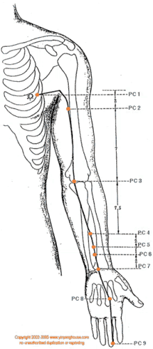 a black and white drawing of a person 's arm with the words copyright 2002-2005 www.yingyanghouse.com on the bottom