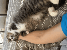 a cat is laying on someone 's lap on a bed with the word bonheur on it