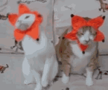 two cats wearing fox hats are standing next to each other on a bed