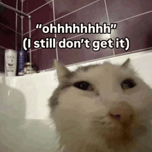 a cat in a bathtub with the caption " ohhhhhhh "