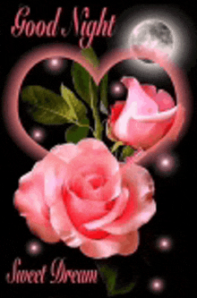 two pink roses are in a heart with the words `` good night sweet dream '' .