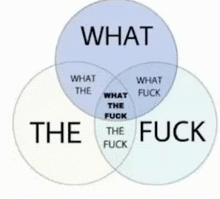 a venn diagram showing what the fuck and what the fuck .