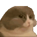 a pixelated image of a cat looking at the camera .