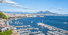 an aerial view of a marina with boats docked in the water and a city in the background .