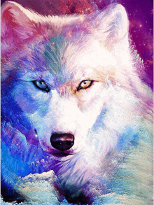 a painting of a wolf with blue eyes on a purple background