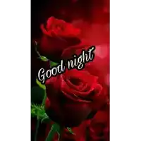 a good night greeting card with red roses on a black background .