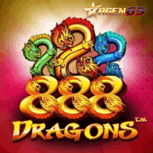 a poster for 888 dragons shows a bunch of colorful dragons